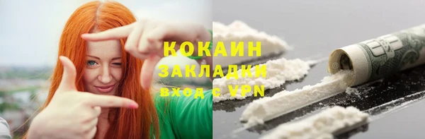 дмт Богородск
