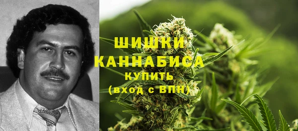 дмт Богородск