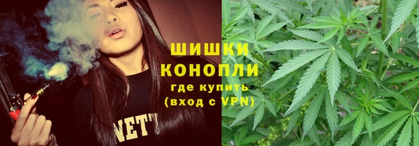 apvp Богданович