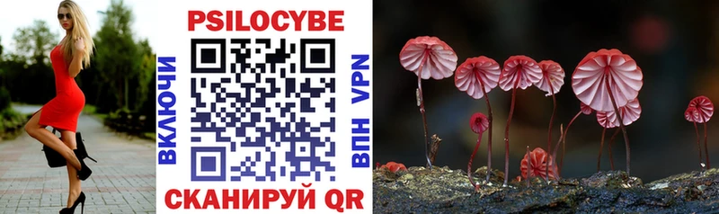 Купить где  Ленинск-Кузнецкий  Псилоцибиновые грибы GOLDEN TEACHER 